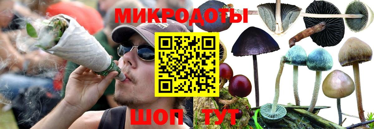 Псилоцибиновые грибы мицелий  Вход с VPN  Оренбург  Псилоцибиновые грибы мицелий 