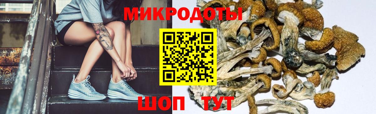 Галлюциногенные грибы Cubensis Оренбург